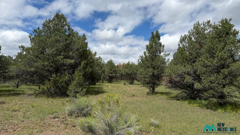 Vacant Land For Sale - 85 Largo Canyon Loop #3<br/> Catron County, Quemado, NM 87829