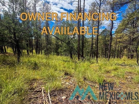 Vacant Land For Sale - 20 Marlin Dr<br/> Timberon, NM 88350