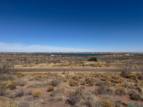 Vacant Land For Sale - 2556 Megan Dr<br/> Logan, NM 88426