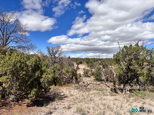 0 LOT 43 ABBE SPRINGS # 43, MAGDALENA, NM 87825 - Image fa0d8b5779420704ba03fd5fc3c05a86/2417446523