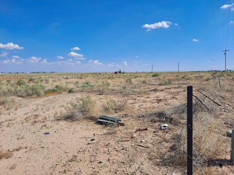 Vacant Land For Sale - Land<br/> Hagerman, NM 88232