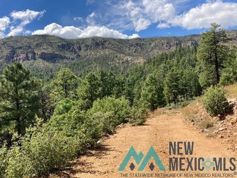 Vacant Land For Sale - 1045 Ctc Ranch Canyon<br/> Mora, NM 87732