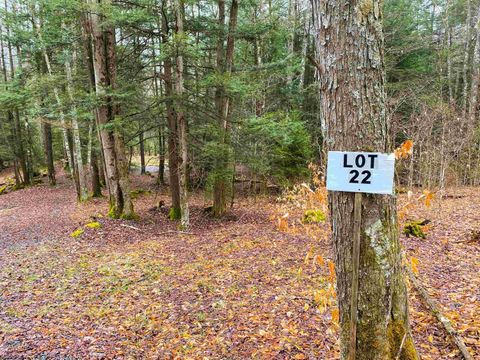 Photo of 22 Glady Fork Acres, Glady, WV 26268 (MLS # 10164211)