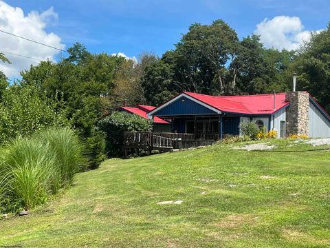 Photo of 136 Snake Run, Monterville, WV 26282 (MLS # 10161113)