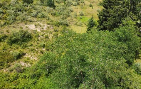 Photo of 57 Bluebird Drive, Terra Alta, WV 26764 (MLS # 10155513)