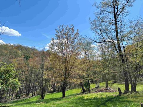 Photo of TBD Silent Grove Road, Philippi, WV 26416 (MLS # 10159108)