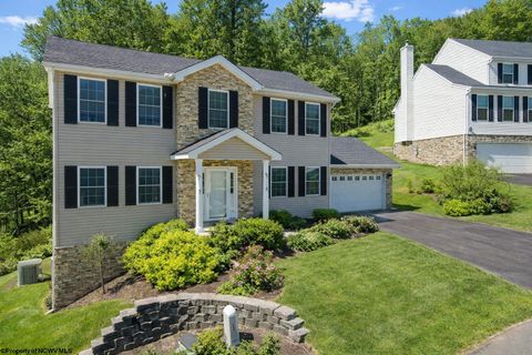 Photo of 119 Brookdale Drive, Morgantown, WV 26508 (MLS # 10162809)