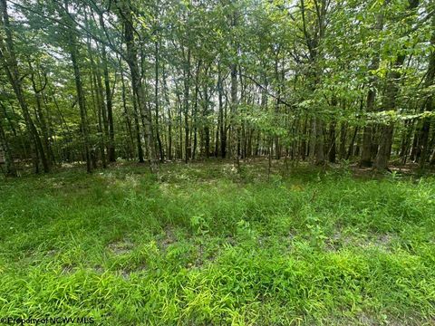 Photo of Lots 85 and 86 Lakeview Drive, Terra Alta, WV 26764 (MLS # 10160542)