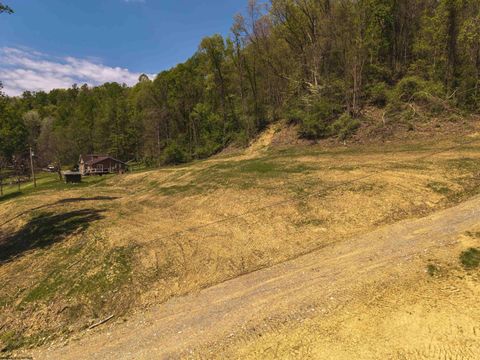 Photo of TBD 2 Lifes Run Road, Jane Lew, WV 26378 (MLS # 10164435)