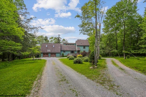 Photo of 551 Sand Run Road, Davis, WV 26260 (MLS # 10165274)