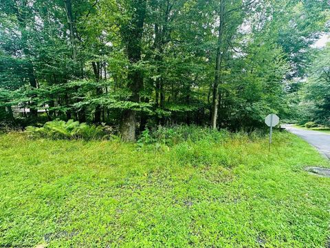 Photo of Lot 142 Dogwood Lane, Terra Alta, WV 26764 (MLS # 10155483)