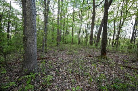 Photo of Lot 1 Cales Road, Masontown, WV 26542 (MLS # 10163308)