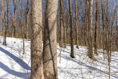 Photo of Lot 1 Cales Road, Masontown, WV 26542 (MLS # 10163308)