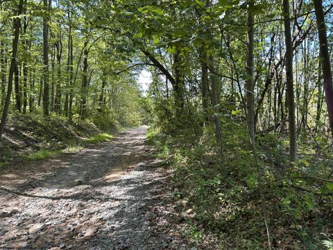 Photo of Lot 5 Crane School Road, Terra Alta, WV 26764 (MLS # 10161779)