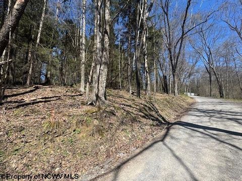 Photo of TBD Rexroad Farm Road, Bruceton Mills, WV 26525 (MLS # 10164121)