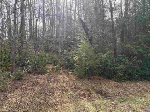 Photo of Lot 81 Gondola Court, Davis, WV 26260 (MLS # 10164071)