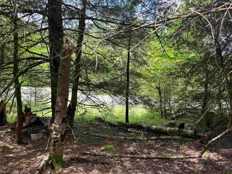 Photo of Lot 96 Gondola Court, Davis, WV 26260 (MLS # 10154433)