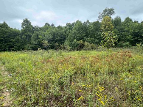 Photo of LOT E Jettsville Road, Fenwick, WV 26202 (MLS # 10162881)