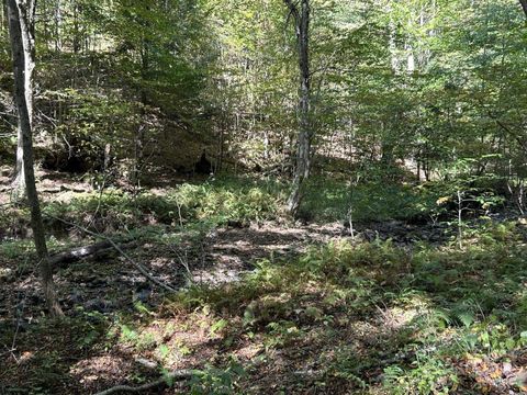 Photo of Lot 2 Possum Hollow Road, Terra Alta, WV 26764 (MLS # 10161671)