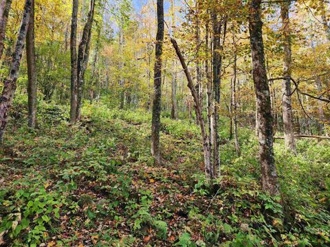 Photo of Lot 39 Rocky Road, Harman, WV 26270 (MLS # 10157076)