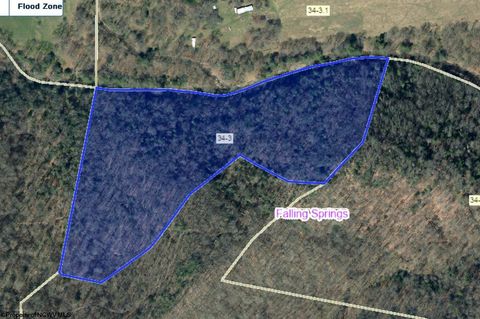 Photo of TBD Leonard Cordova Road, Renick, WV 24996 (MLS # 10156651)