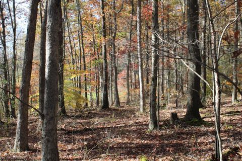 Photo of Lot 10 Sand Bank Heights Road, Masontown, WV 26542 (MLS # 10162408)