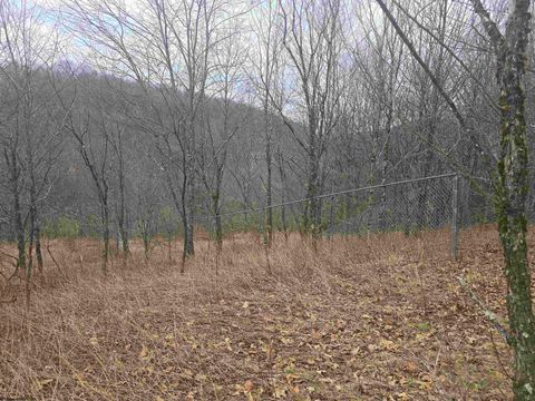 Photo of 1419 Phillips Dairy Road, Buckhannon, WV 26201 (MLS # 10163613)