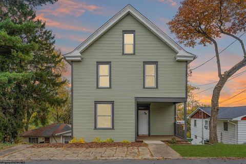 Photo of 824 Louise Avenue, Morgantown, WV 26505 (MLS # 10162403)