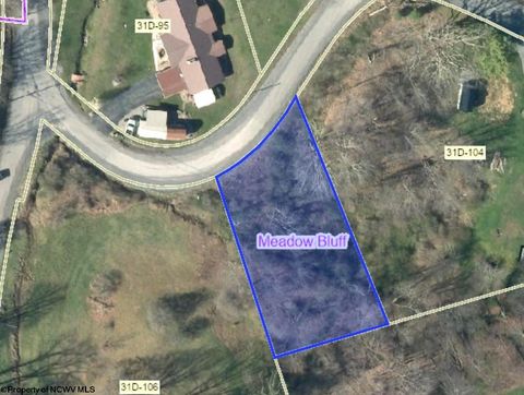 Photo of TBD Marfrance Road, Quinwood, WV 25981 (MLS # 10156078)