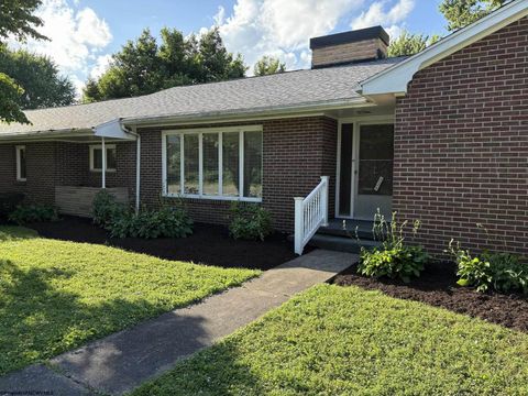 Photo of 42 Island Avenue, Buckhannon, WV 26201 (MLS # 10156043)