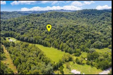 Photo of 0 Indian Fork Road, Philippi, WV 26416 (MLS # 10158724)