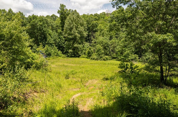 18 LAKE DR, BUCKHANNON, WV 26201 - Image 0bc004850febf3716e7bbd2b72258599/1629361536