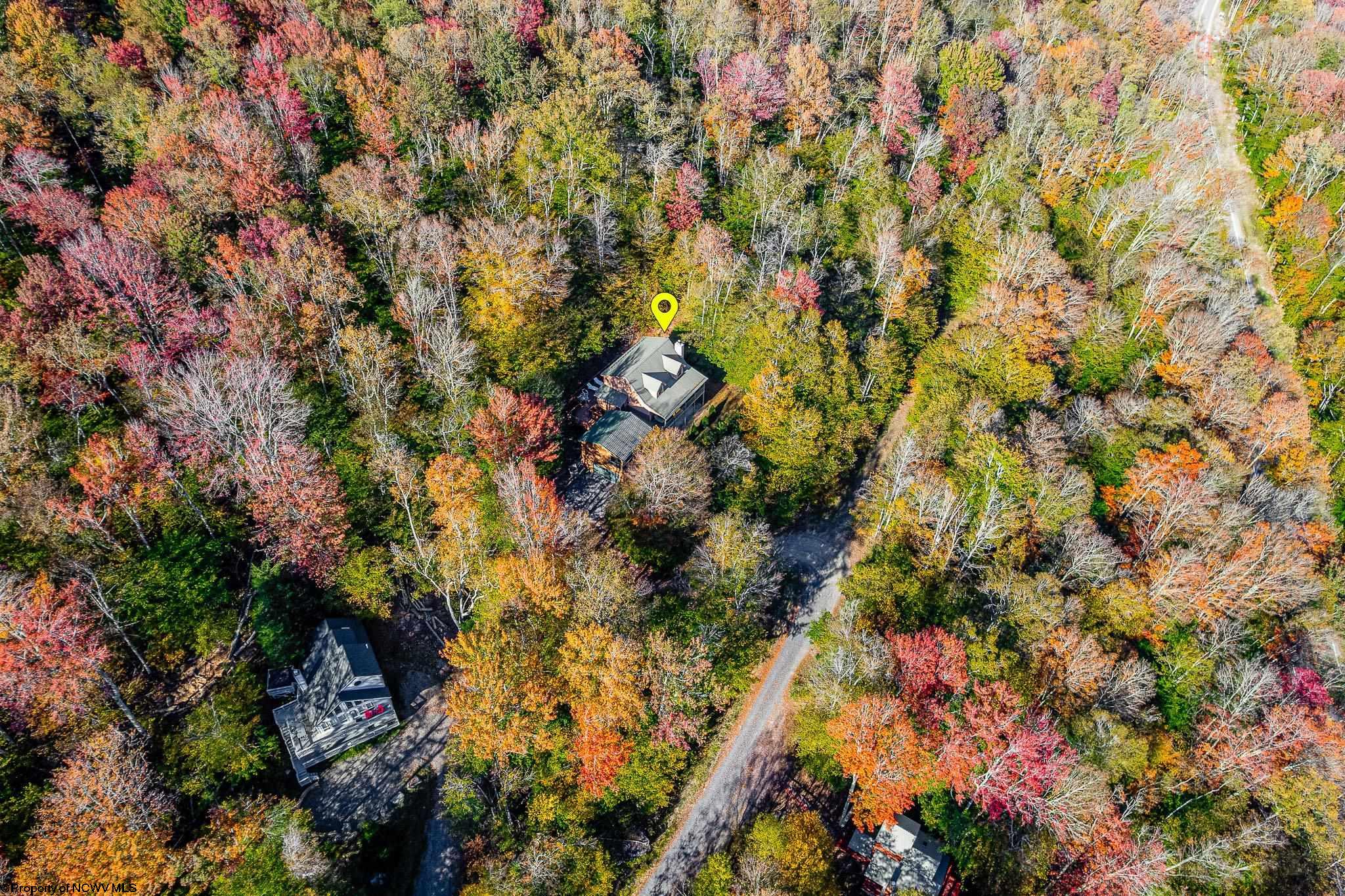 Davis, West Virginia 26260, United States, 4 Bedrooms Bedrooms, ,4 BathroomsBathrooms,Residential,Active,228709