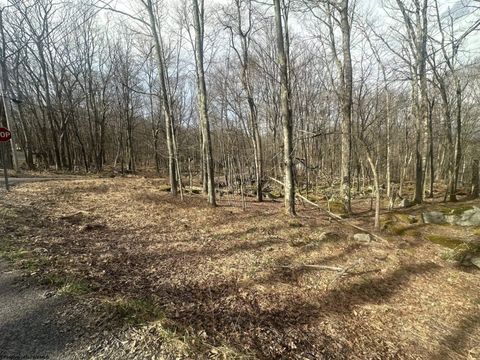 Photo of Lot 216 Aster Circle, Terra Alta, WV 26764 (MLS # 10164144)