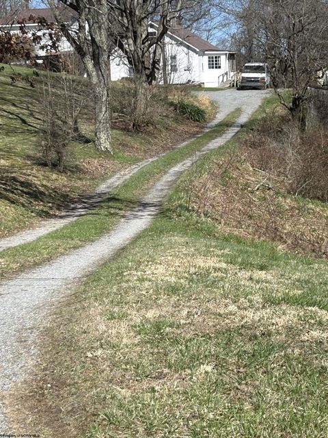 Photo of 540 Cherry Run Road, Craigsville, WV 26205 (MLS # 10163963)