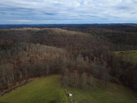 Photo of 9505 Route 20 South Road, French Creek, WV 26218 (MLS # 10162616)