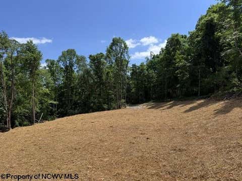 Photo of TBD River Road, Junior, WV 26275 (MLS # 10166370)