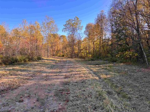 Photo of Lot 14 Island Road, Junior, WV 26275 (MLS # 10162029)