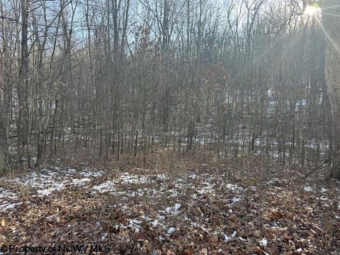 Photo of TBD Lakeside Drive, Montrose, WV 26283 (MLS # 10163148)