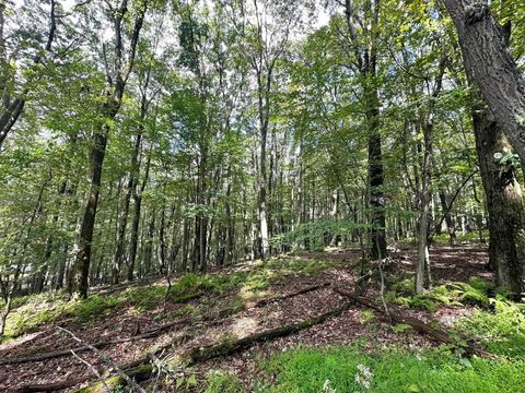 Photo of lot 87 Ginger Court, Terra Alta, WV 26764 (MLS # 10158253)