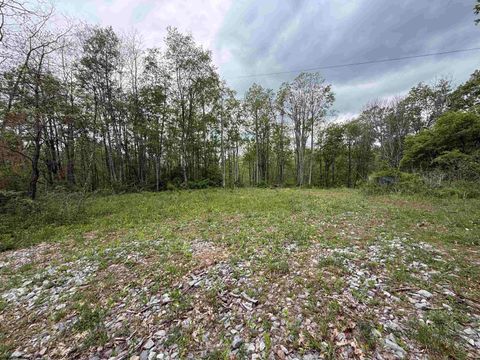 Photo of 1154 Brady Gate Road, Valley Head, WV 26294 (MLS # 10164862)