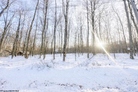 Photo of TBD Hemlock Circle, Terra Alta, WV 26764 (MLS # 10163151)