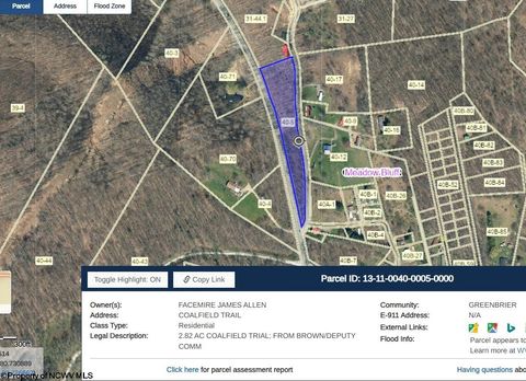 Photo of TBD Coalfield Trail, Charmco, WV 25958 (MLS # 10156085)