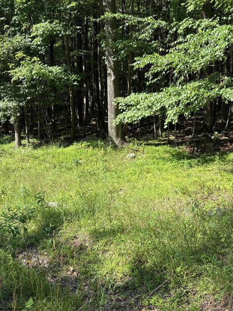 Photo of Lot 34 E Alpine Drive, Terra Alta, WV 26764 (MLS # 10160111)