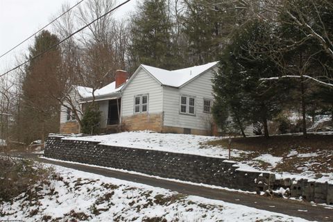 Photo of 1349 Point Mountain Road, Webster Springs, WV 26288 (MLS # 10162995)
