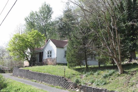 Photo of 1349 Point Mountain Road, Webster Springs, WV 26288 (MLS # 10162995)