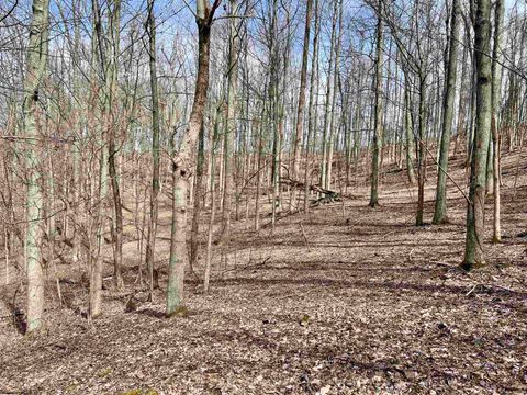 Photo of 1251 County Highway 40-11 Road, Duck, WV 25063 (MLS # 10163834)