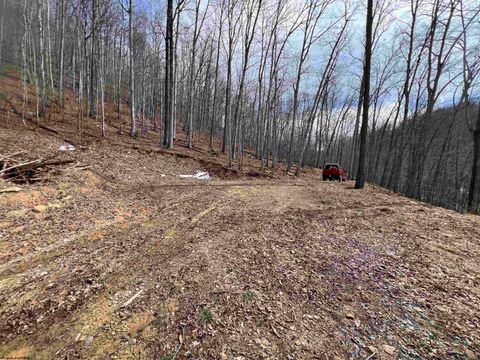 Photo of 1251 County Highway 40-11 Road, Duck, WV 25063 (MLS # 10163834)