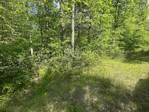 Photo of Lot 65 Pine Drive, Terra Alta, WV 26764 (MLS # 10165197)