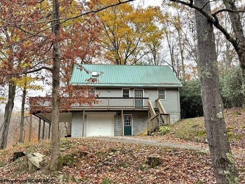 Photo of 1651 Mabie Road, Mabie, WV 26278 (MLS # 10162897)